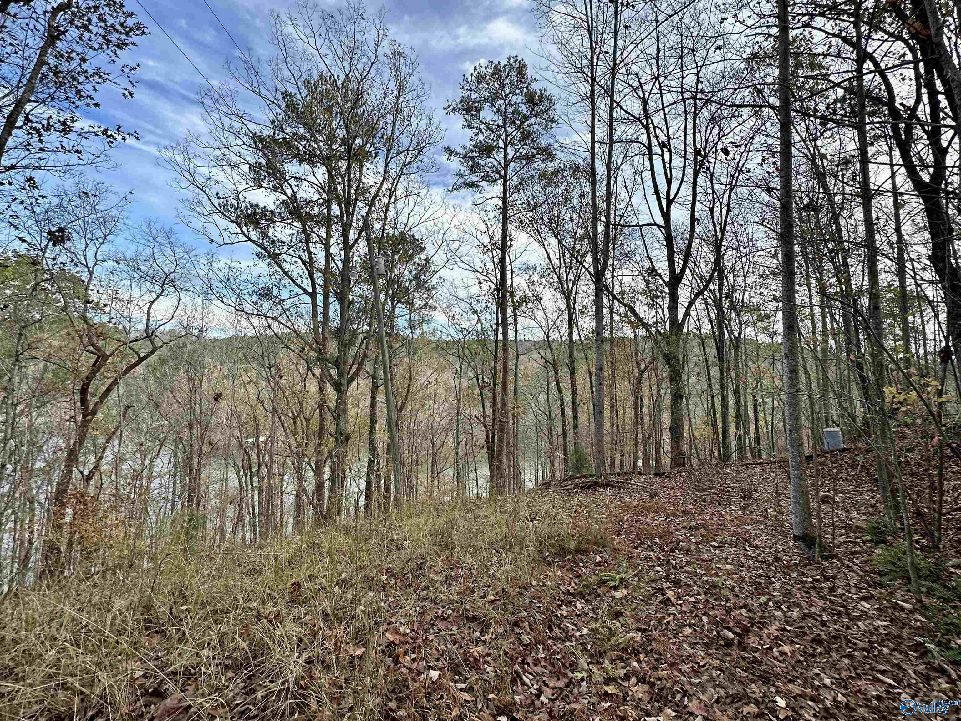 Lot 19 Mohawk Cliff Road, Ohatchee, Alabama image 8