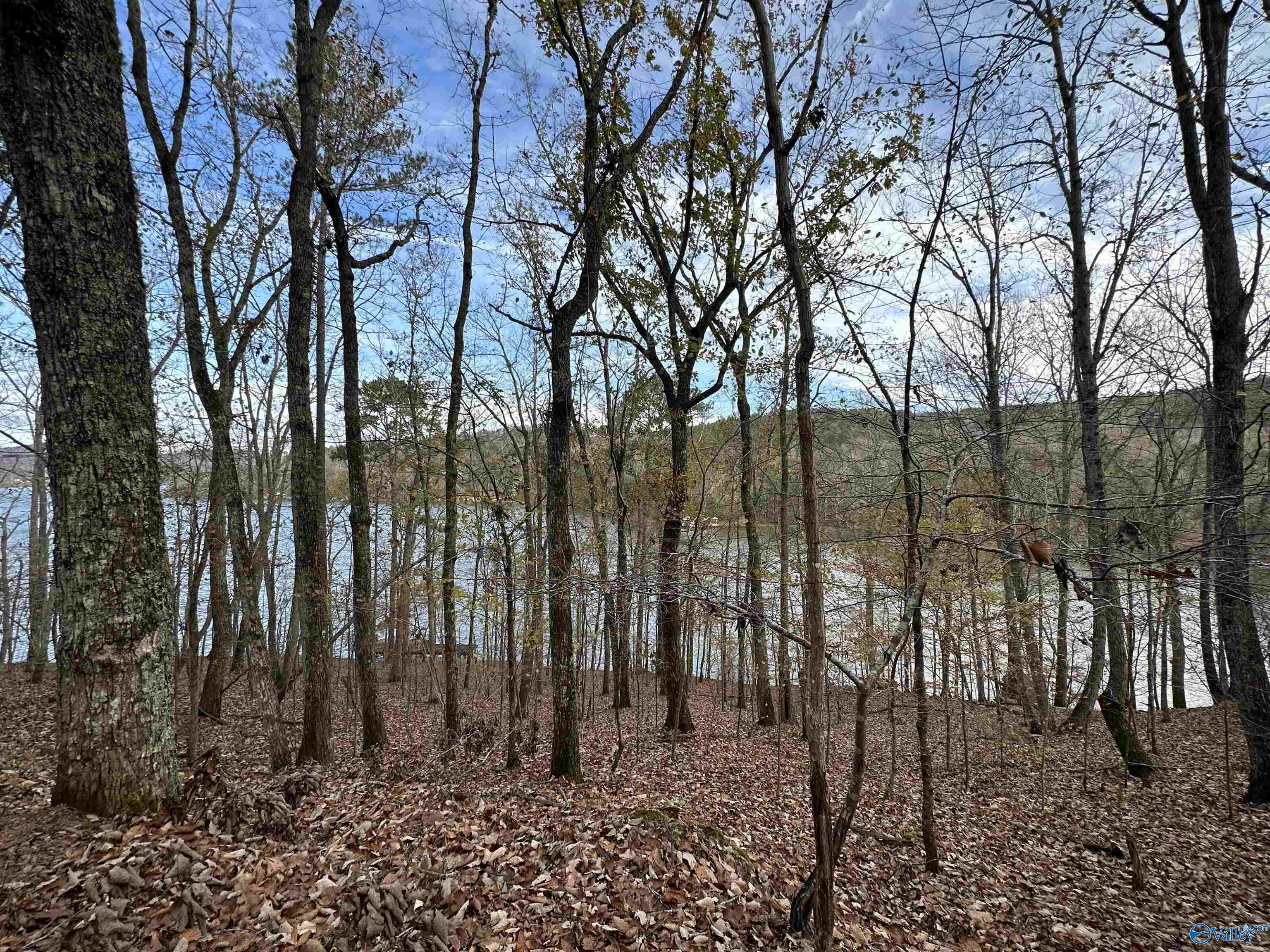 Lot 19 Mohawk Cliff Road, Ohatchee, Alabama image 11