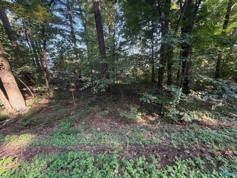 Vacant Land For Sale - LOT 38 Creek Path/browns Valley Rd<br/> Guntersville, AL 35976