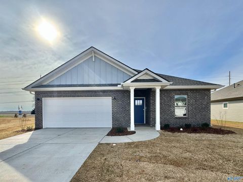 Photo of 126 Willow Rose Lane, Madison, AL 35757 (MLS # 21902277)