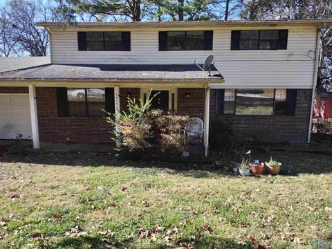 Photo of 10012 Conrad Drive SE, Huntsville, AL 35803 (MLS # 21906190)