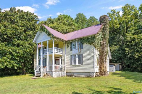 Homes For Sale - 3818 County Road 4<br/> Hollytree, AL 35751
