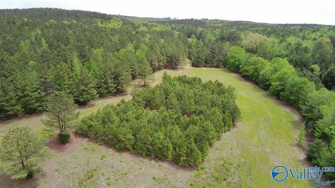 Vacant Land For Sale - 265 County Highway 23<br/> Marion County, Detroit, AL 35552