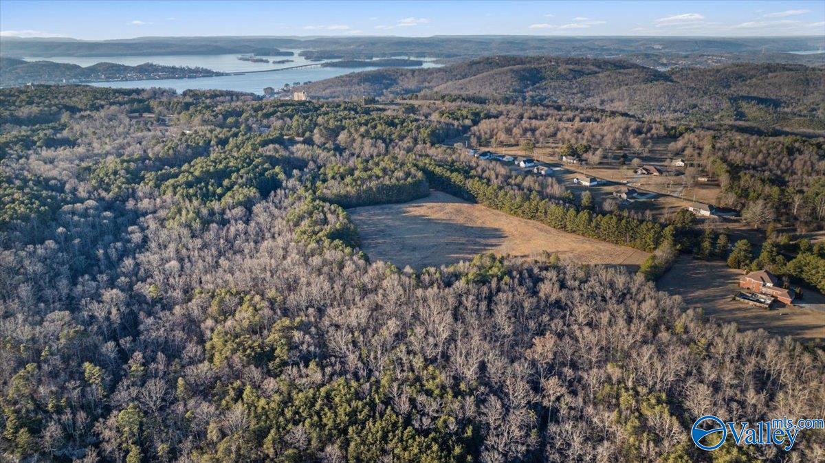 25 ACRES Winding Brook Drive, Guntersville, Alabama image 10