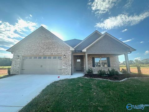  Meridianville AL 35759