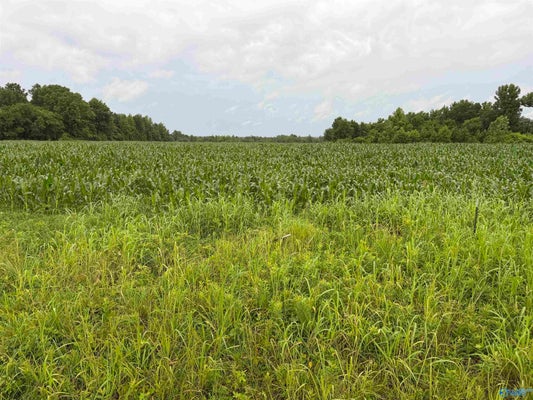 786 COUNTY RD 133, TOWN CREEK, AL 35672 - Image e4cde11d2457592a39aba8daebbd53b5/1489217801
