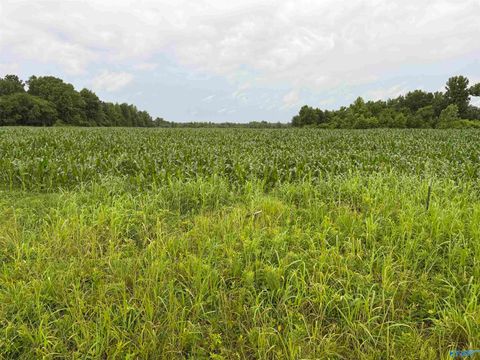Vacant Land For Sale - 786 ACRES County Road 133<br/> Lawrence County, Town Creek, AL 35672