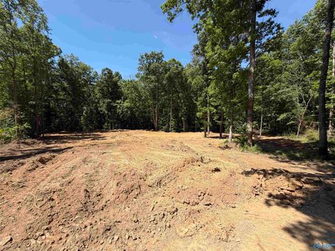 Vacant Land For Sale - LOT 18 Meadowwood Circle<br/> Arab, AL 35016