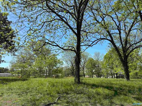 Vacant Land For Sale - 01 Highway 231<br/> Laceys Spring, AL 35754