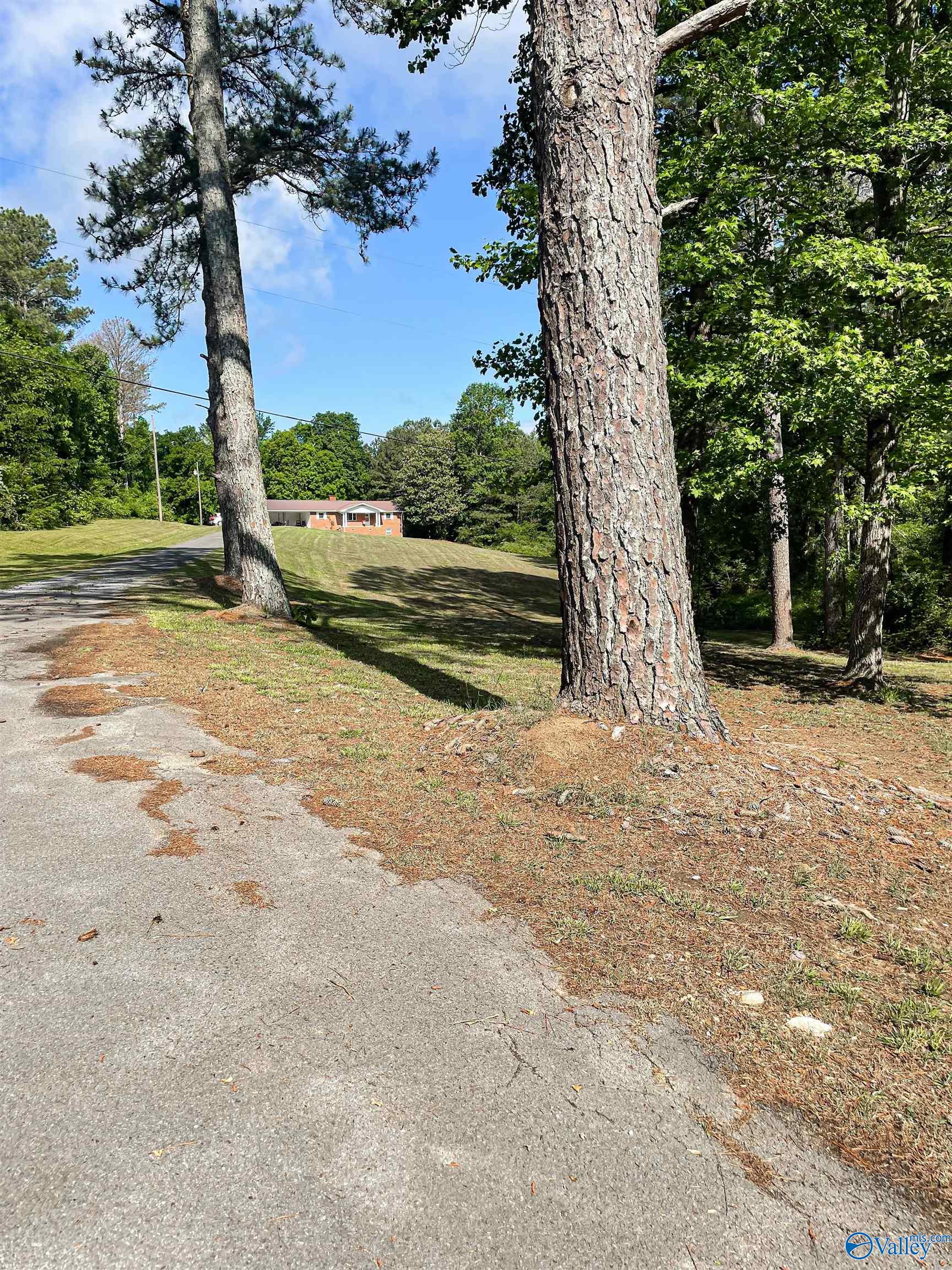 102 Baker Drive, Crossville, Alabama image 2