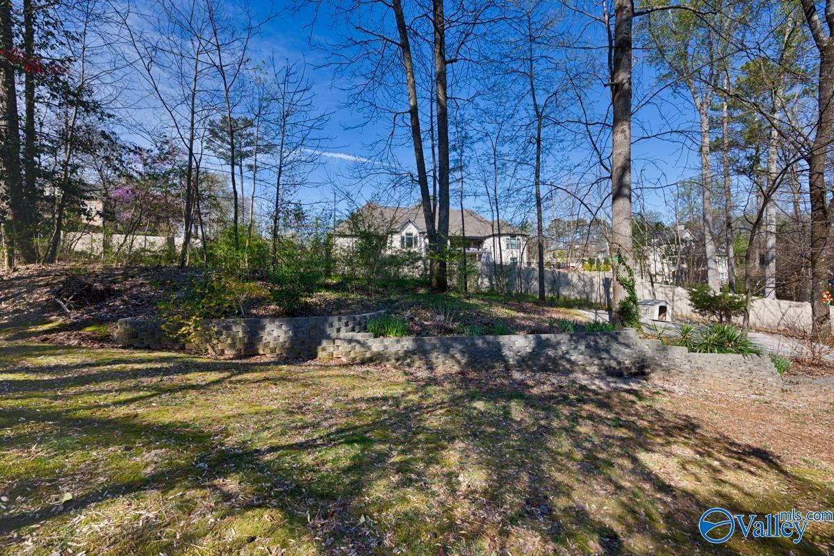 107 Athens Blvd, Madison, Alabama image 45