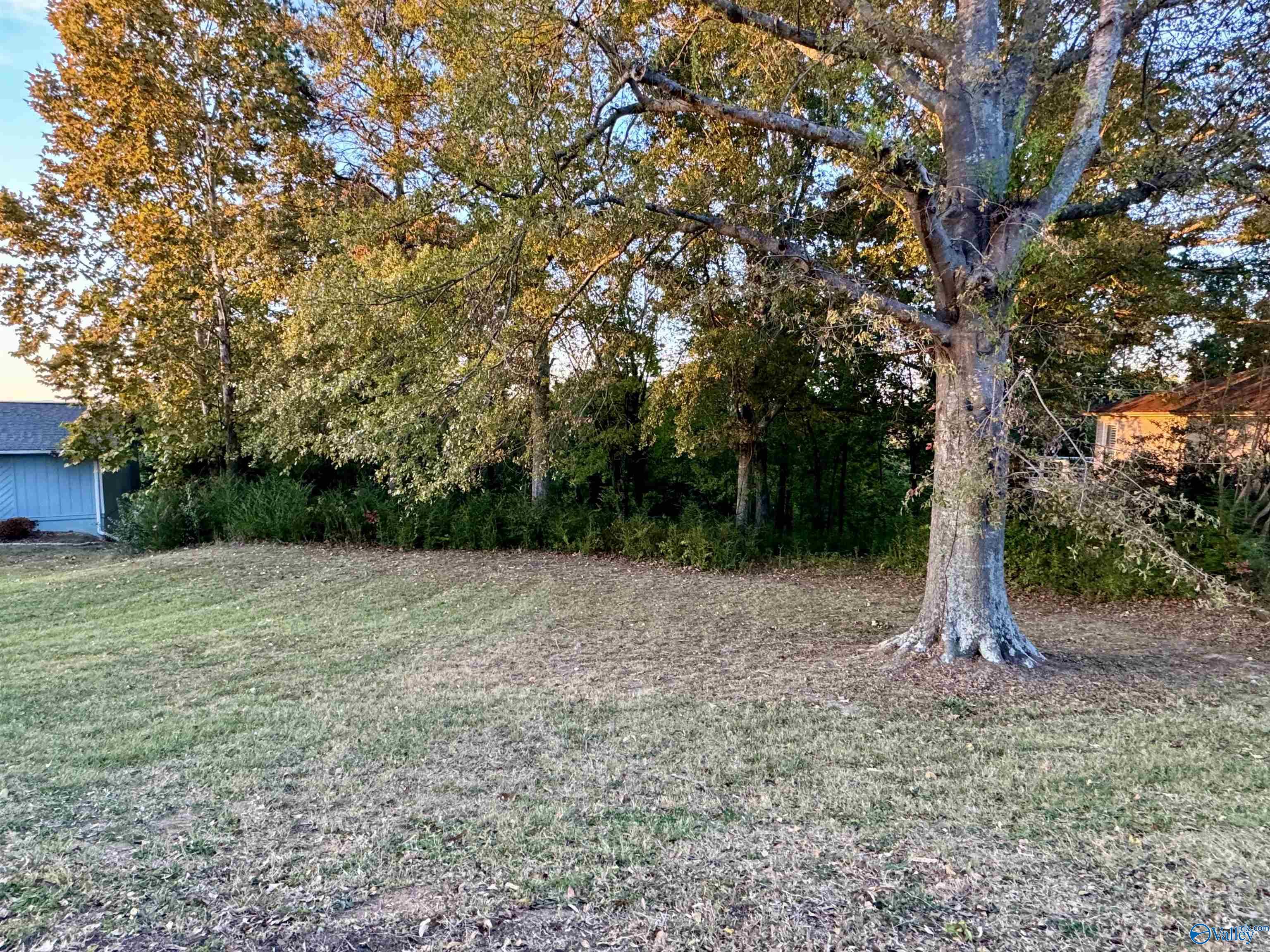 .70 Rainbow Circle, Albertville, Alabama image 3