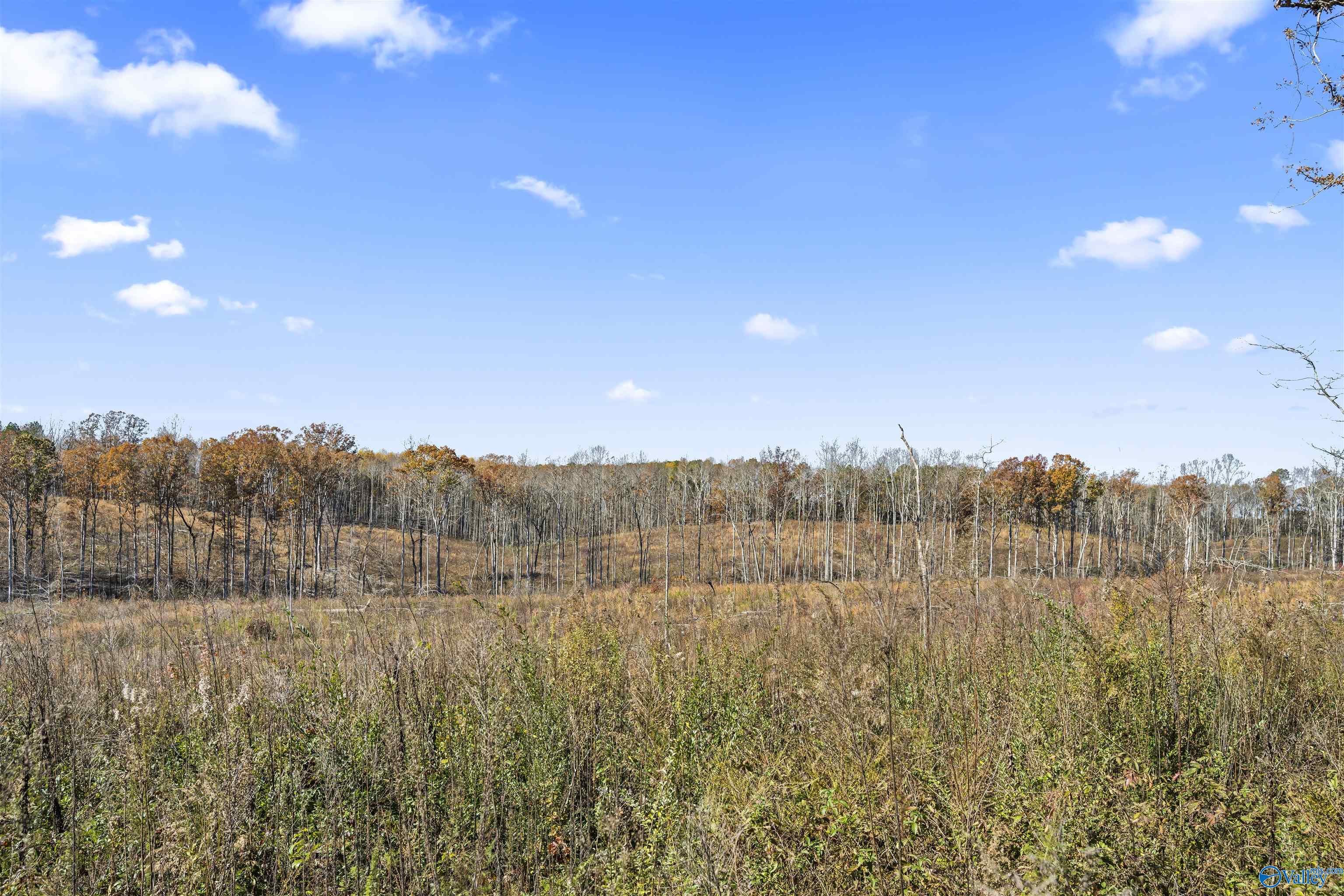 193 AC County Road 1069, Vinemont, Alabama image 21
