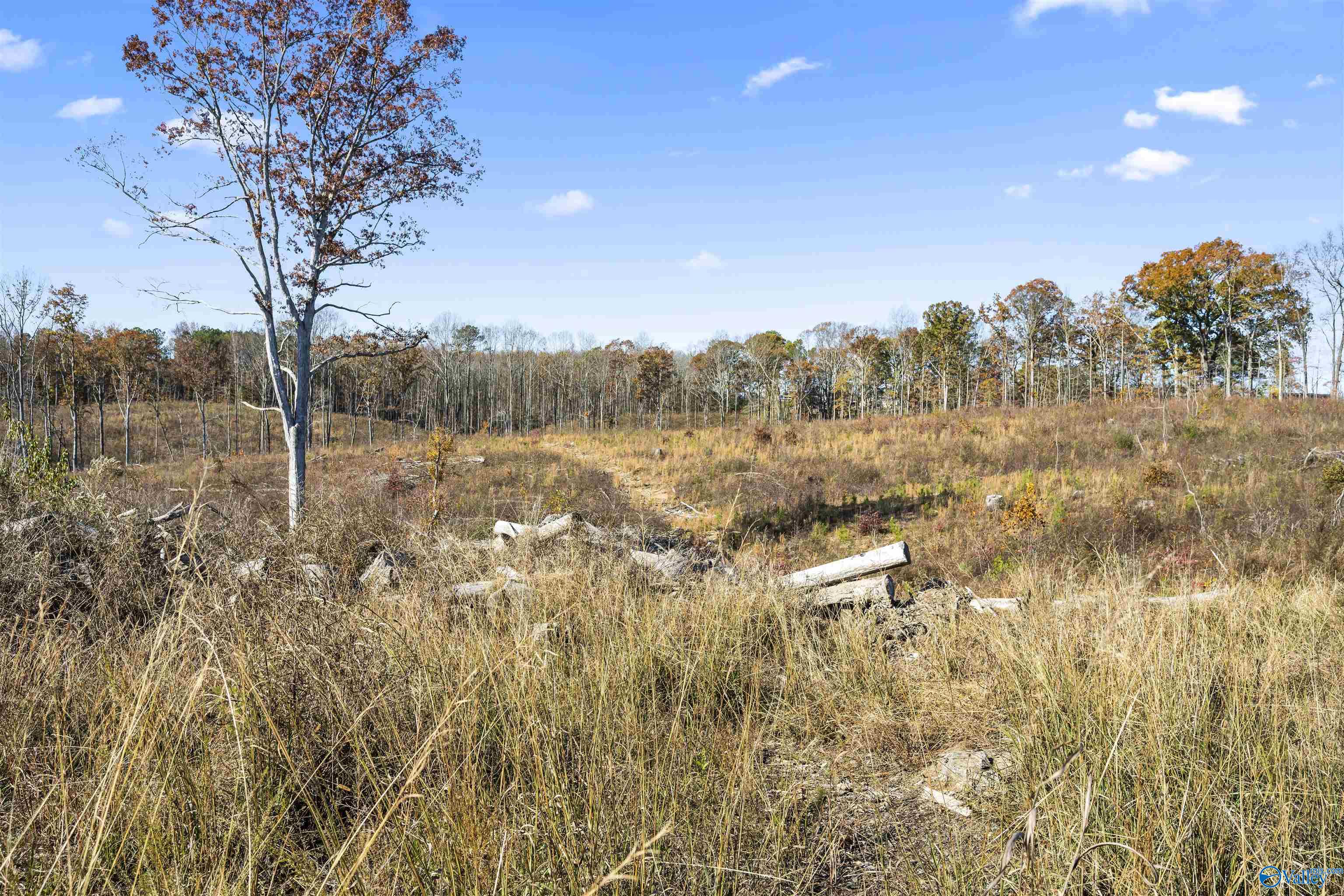 193 AC County Road 1069, Vinemont, Alabama image 20