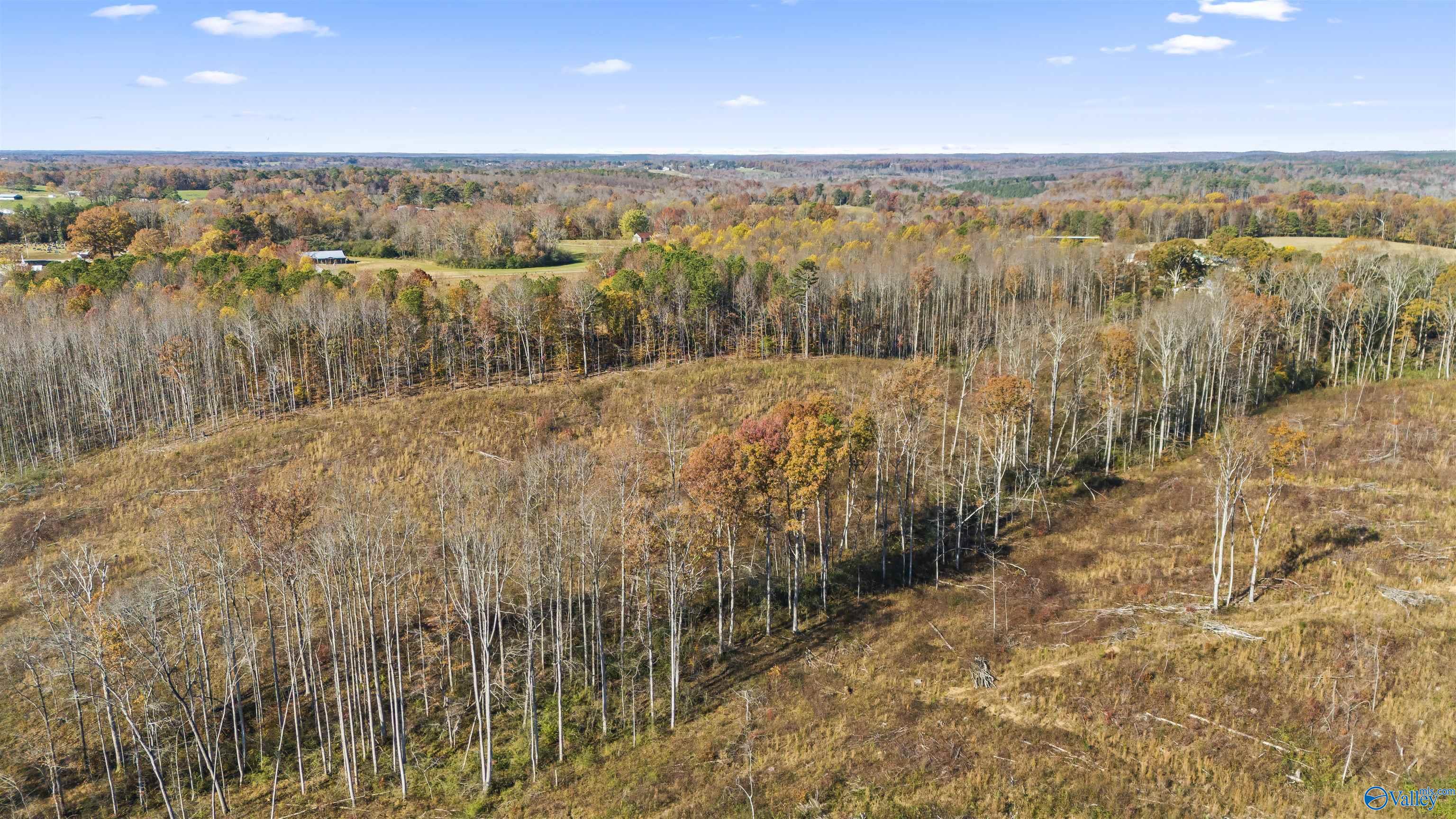 193 AC County Road 1069, Vinemont, Alabama image 9