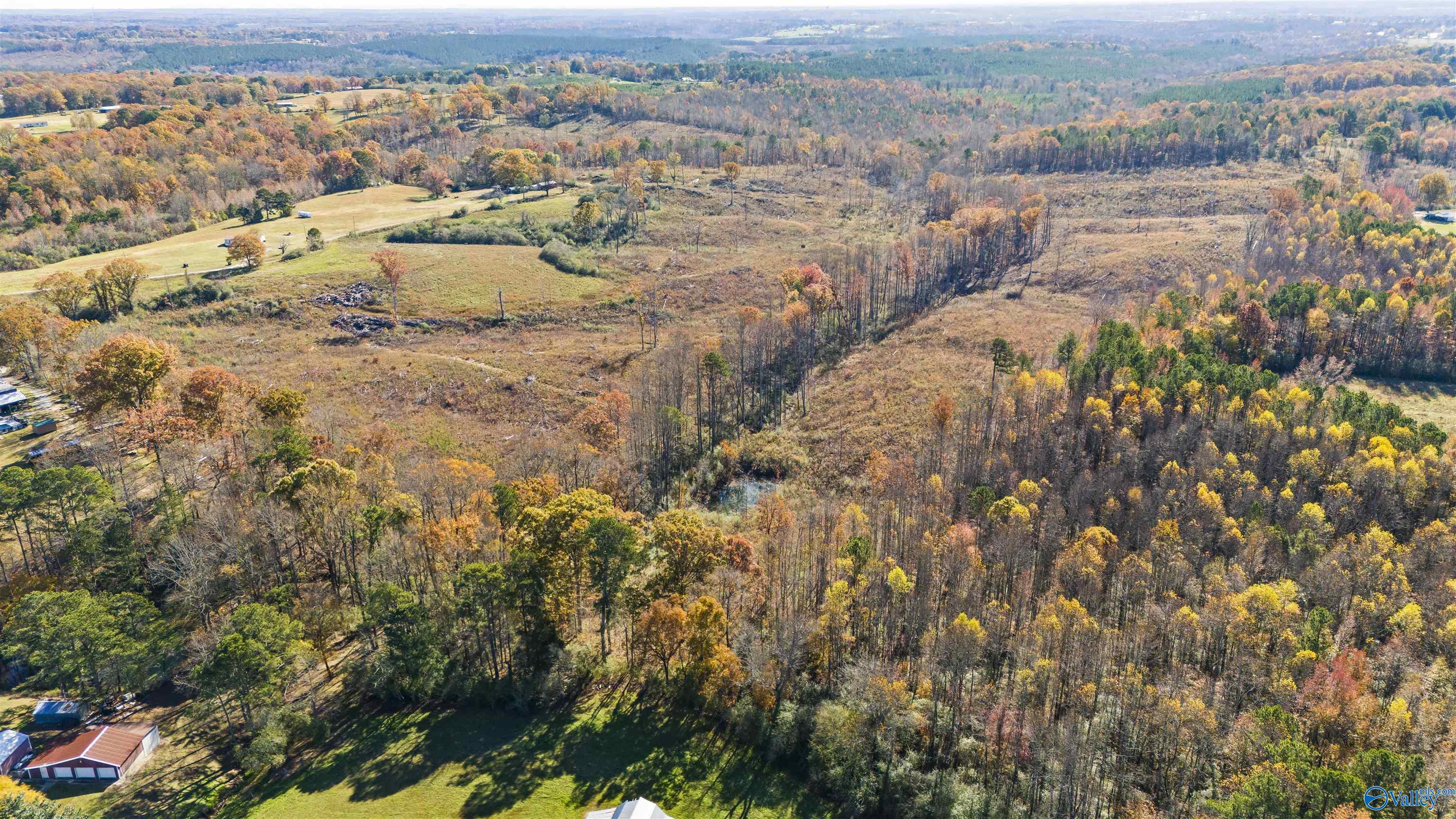 193 AC County Road 1069, Vinemont, Alabama image 2