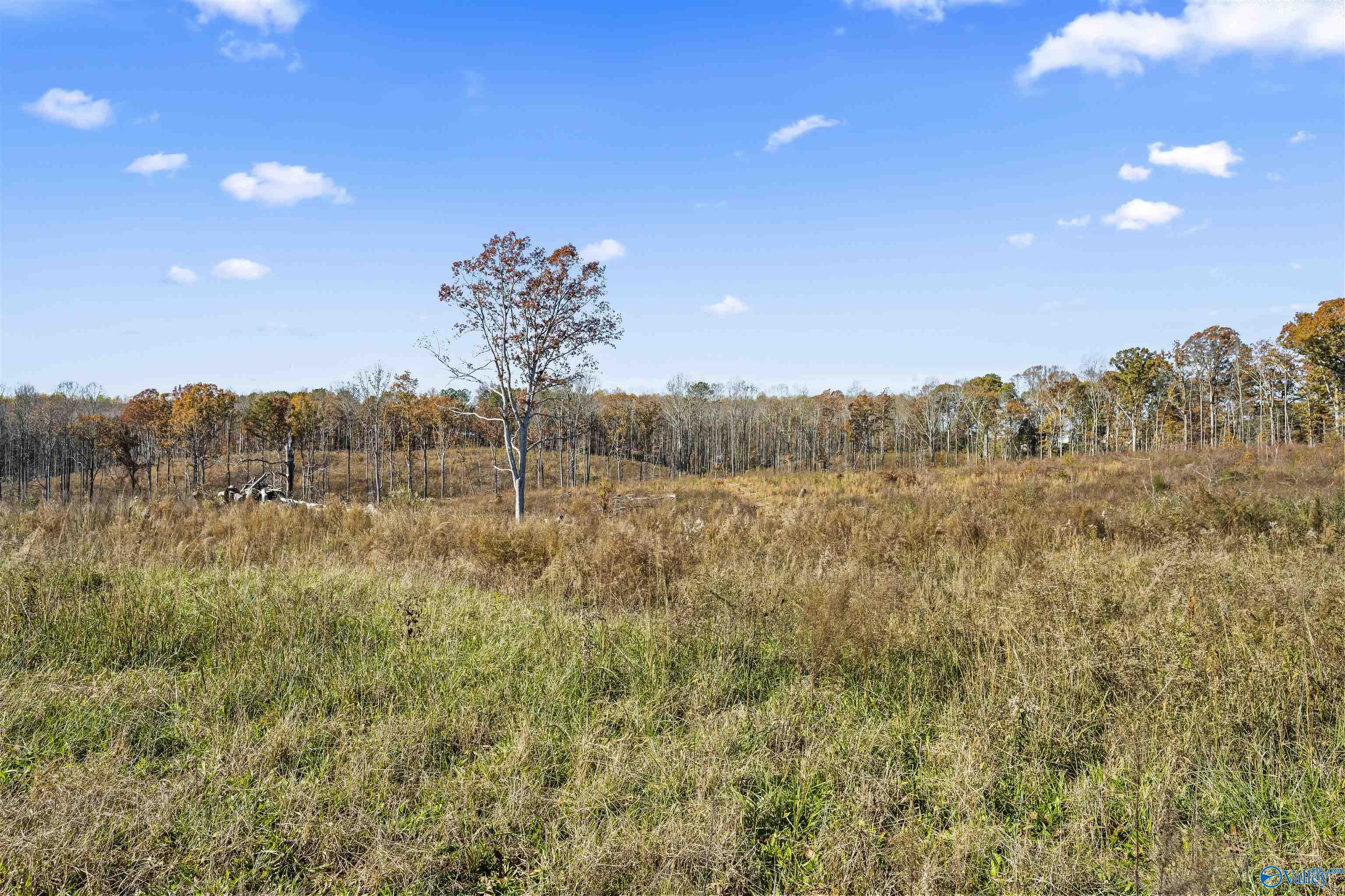 193 AC County Road 1069, Vinemont, Alabama image 17