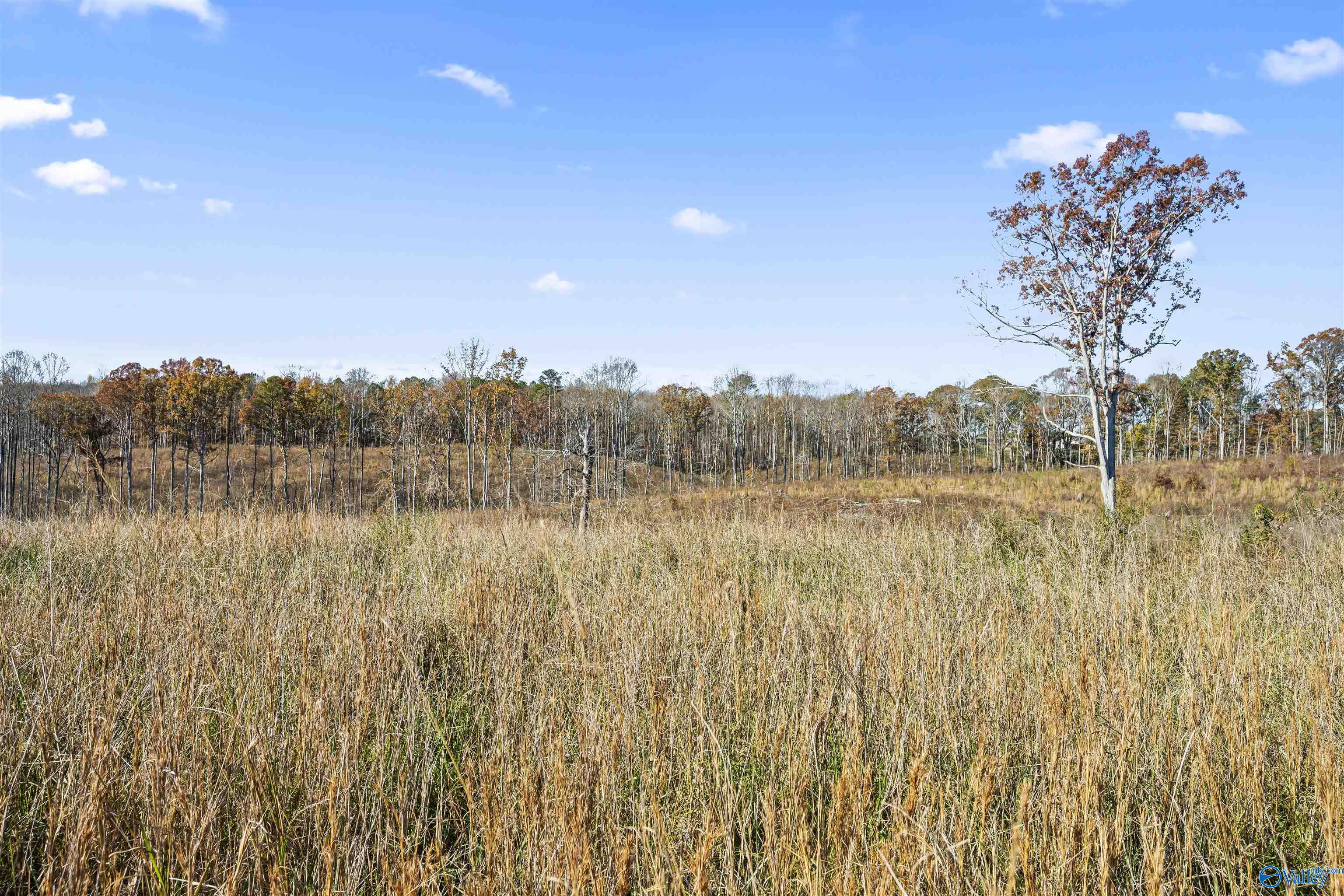 193 AC County Road 1069, Vinemont, Alabama image 18