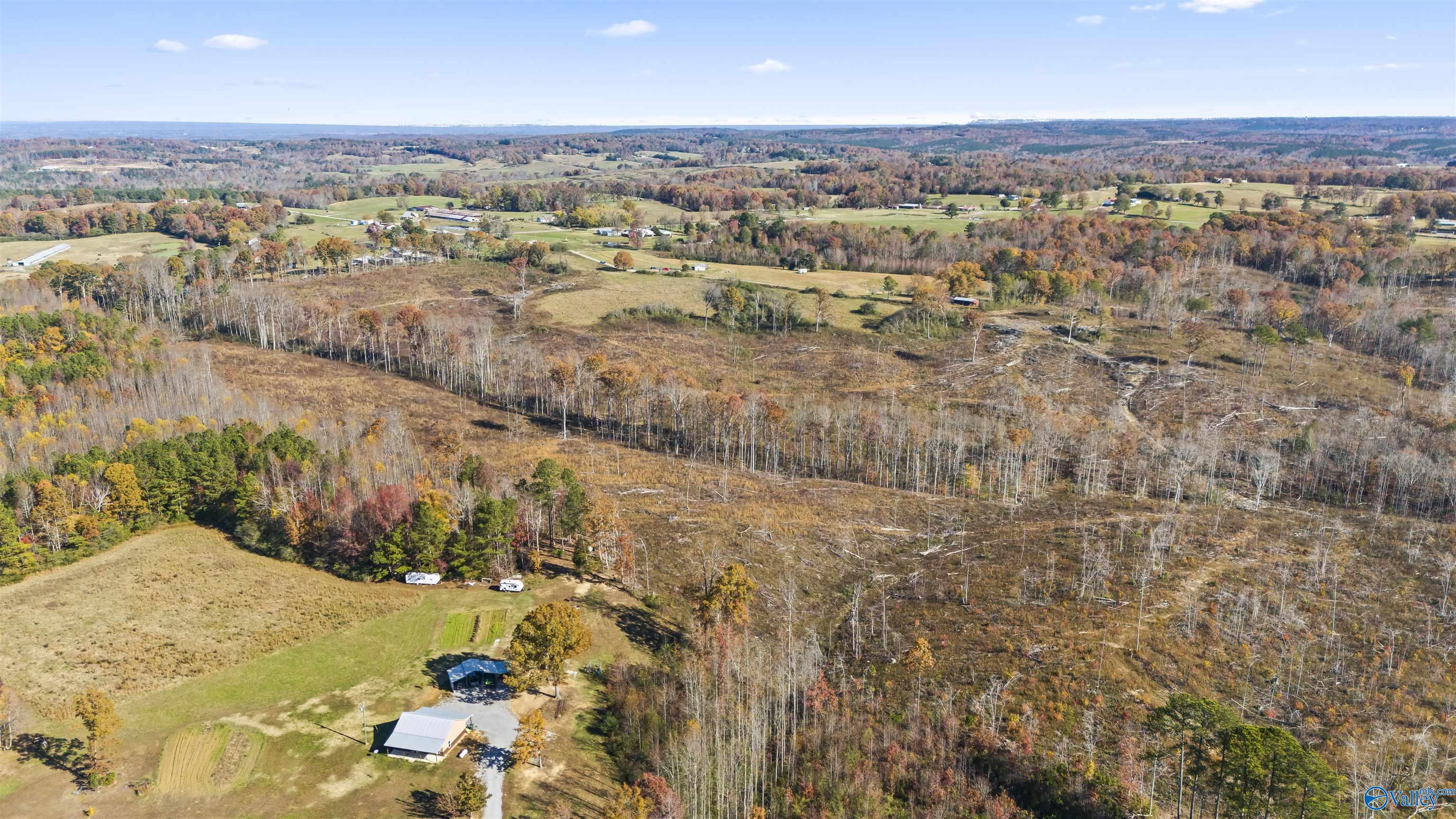 193 AC County Road 1069, Vinemont, Alabama image 3