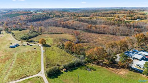 Vacant Land For Sale - 193 AC County Road 1069<br/> Vinemont, AL 35179