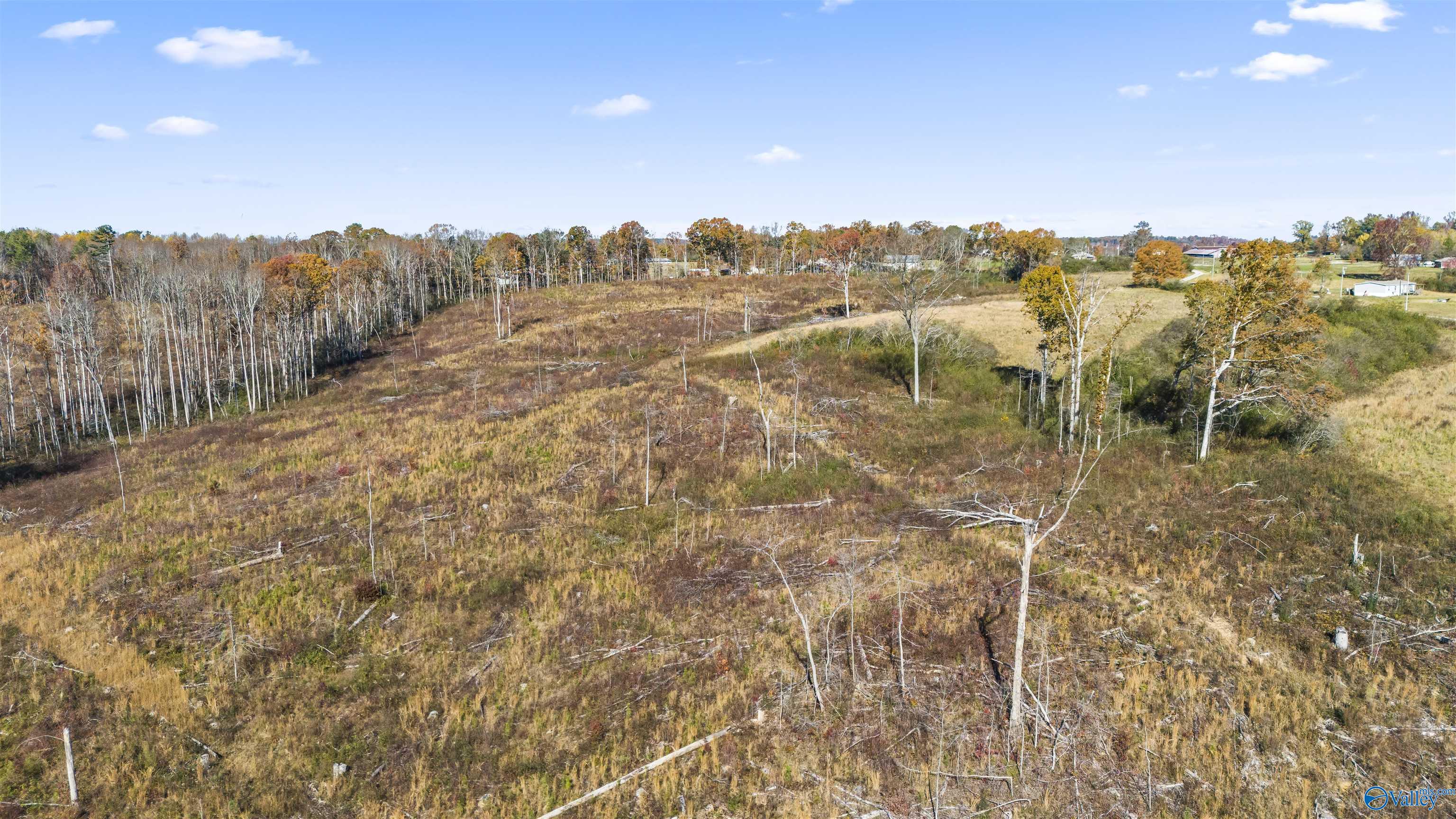193 AC County Road 1069, Vinemont, Alabama image 16