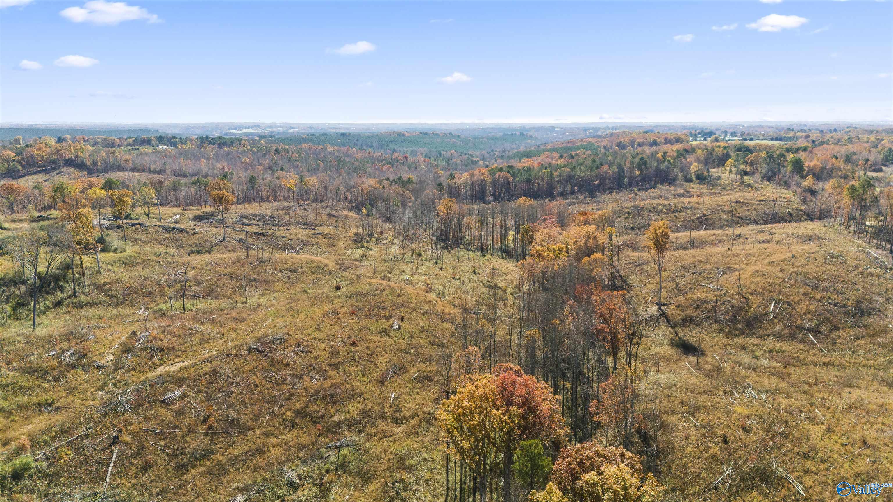193 AC County Road 1069, Vinemont, Alabama image 10