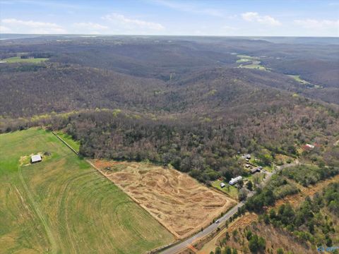 Vacant Land For Sale - 43 ACRES Paramount Drive<br/> Grant, AL 35016