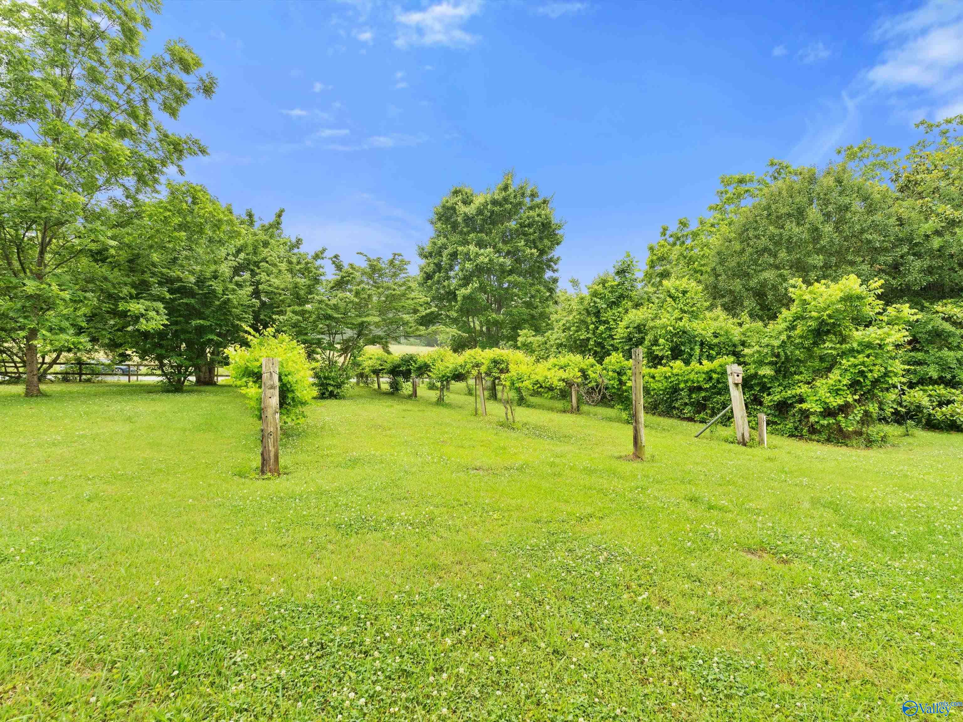 205 Oak Hill Lane