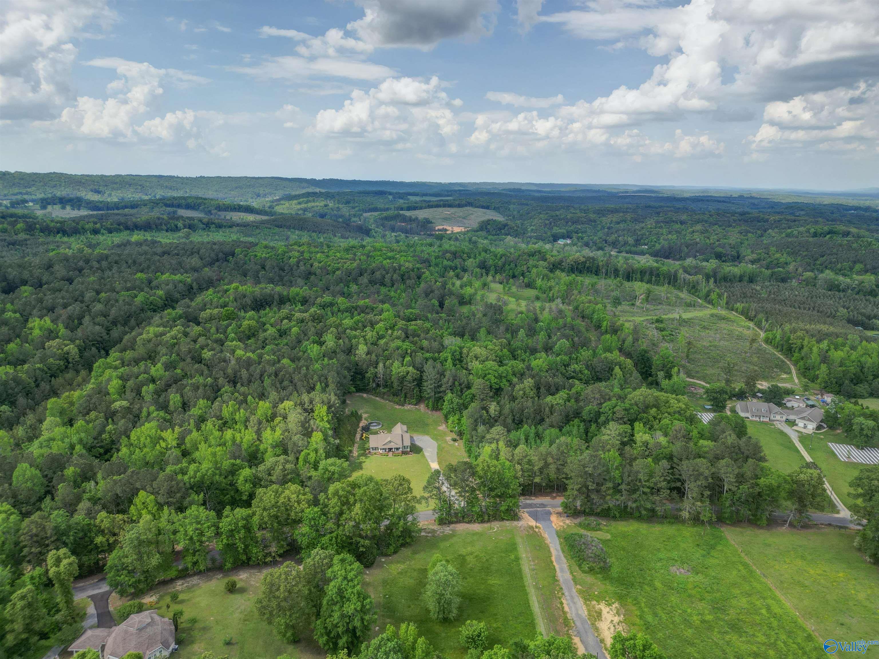 288 Mcclendon Road, Attalla, Alabama image 28