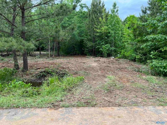 113 WHITFIELD DR, TONEY, AL 35773 - Image e5a72fdff0c80b4223a04b0451de81d7/4218182632