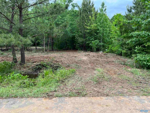Vacant Land For Sale - 113 Whitfield Drive<br/> Toney, AL 35773