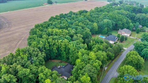 Vacant Land For Sale - 113 Whitfield Drive<br/> Toney, AL 35773