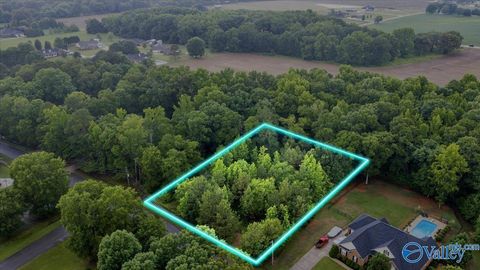 Vacant Land For Sale - 113 Whitfield Drive<br/> Toney, AL 35773