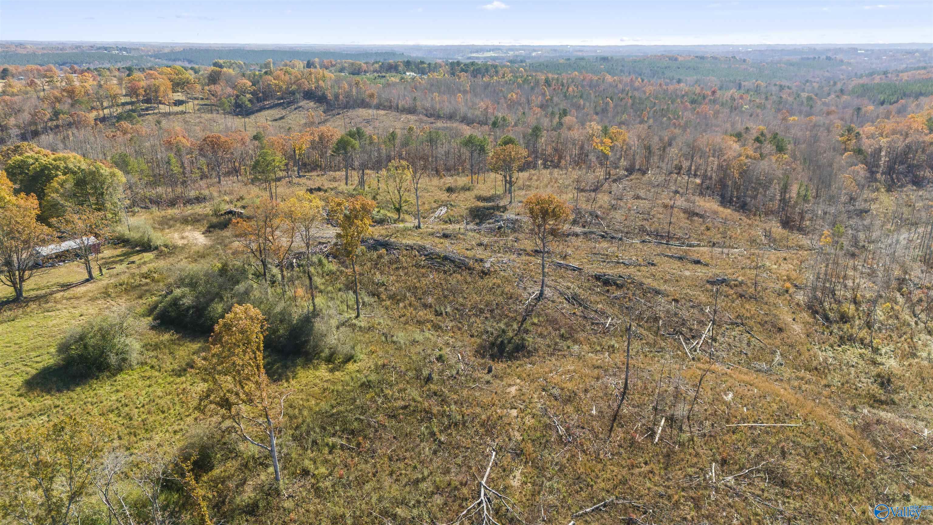 120AC County Road 1069, Vinemont, Alabama image 9