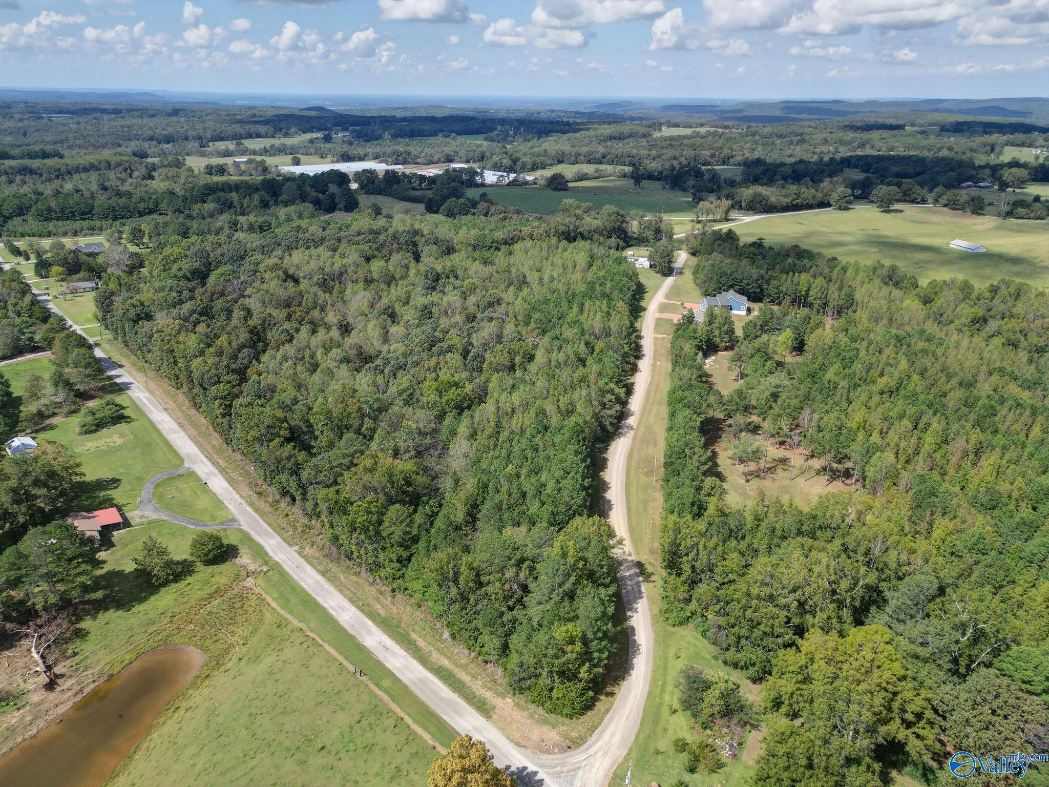 C Braswell Street, Falkville, Alabama image 1