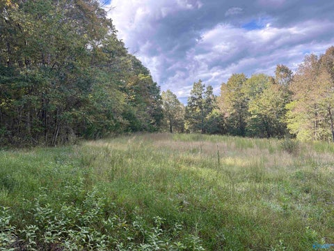 Vacant Land For Sale - 21 AC Old Larkinsville Road<br/> Jackson County, Scottsboro, AL 35768
