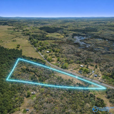 Vacant Land For Sale - 21 AC Old Larkinsville Road<br/> Jackson County, Scottsboro, AL 35768
