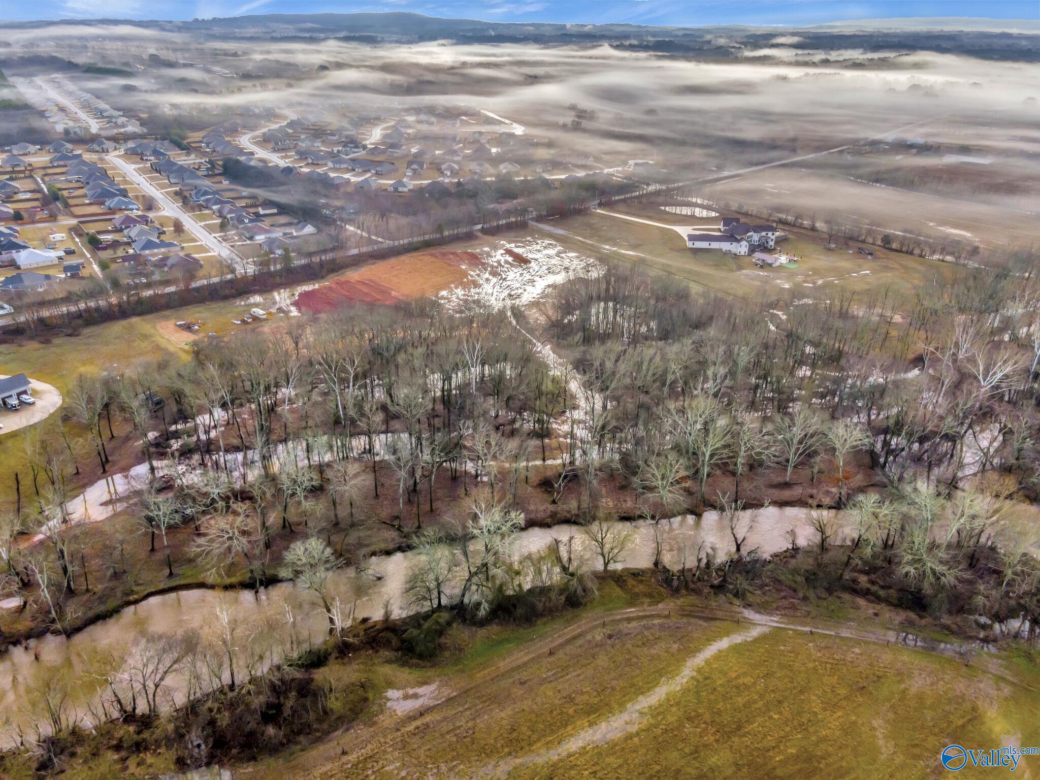 14421 Dupree Worthey Road, Harvest, Alabama image 9