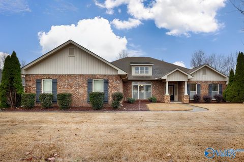 Photo of 622 Summer Cove Circle, Madison, AL 35757 (MLS # 21905339)