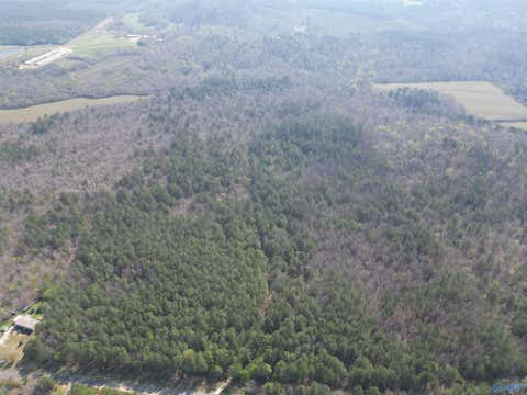 Vacant Land For Sale - 80 +/- ACRES Pine Ridge Road<br/> Wellington, AL 36279