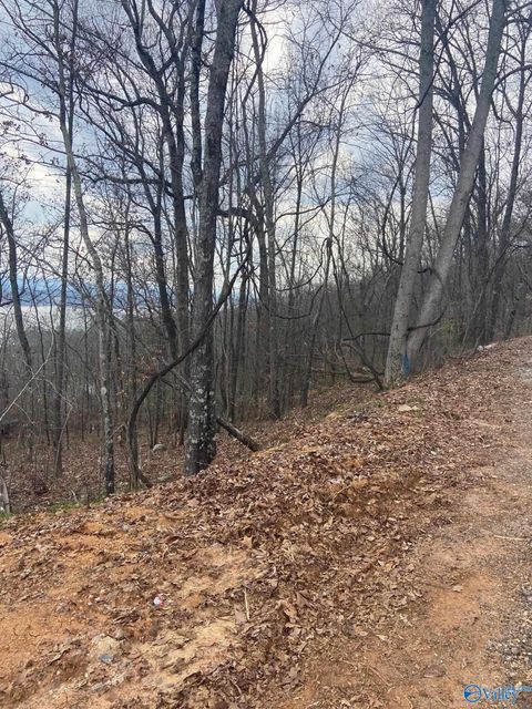 Vacant Land For Sale - LOT Hummingbird Way<br/> Etowah County, Rainbow City, AL 35906