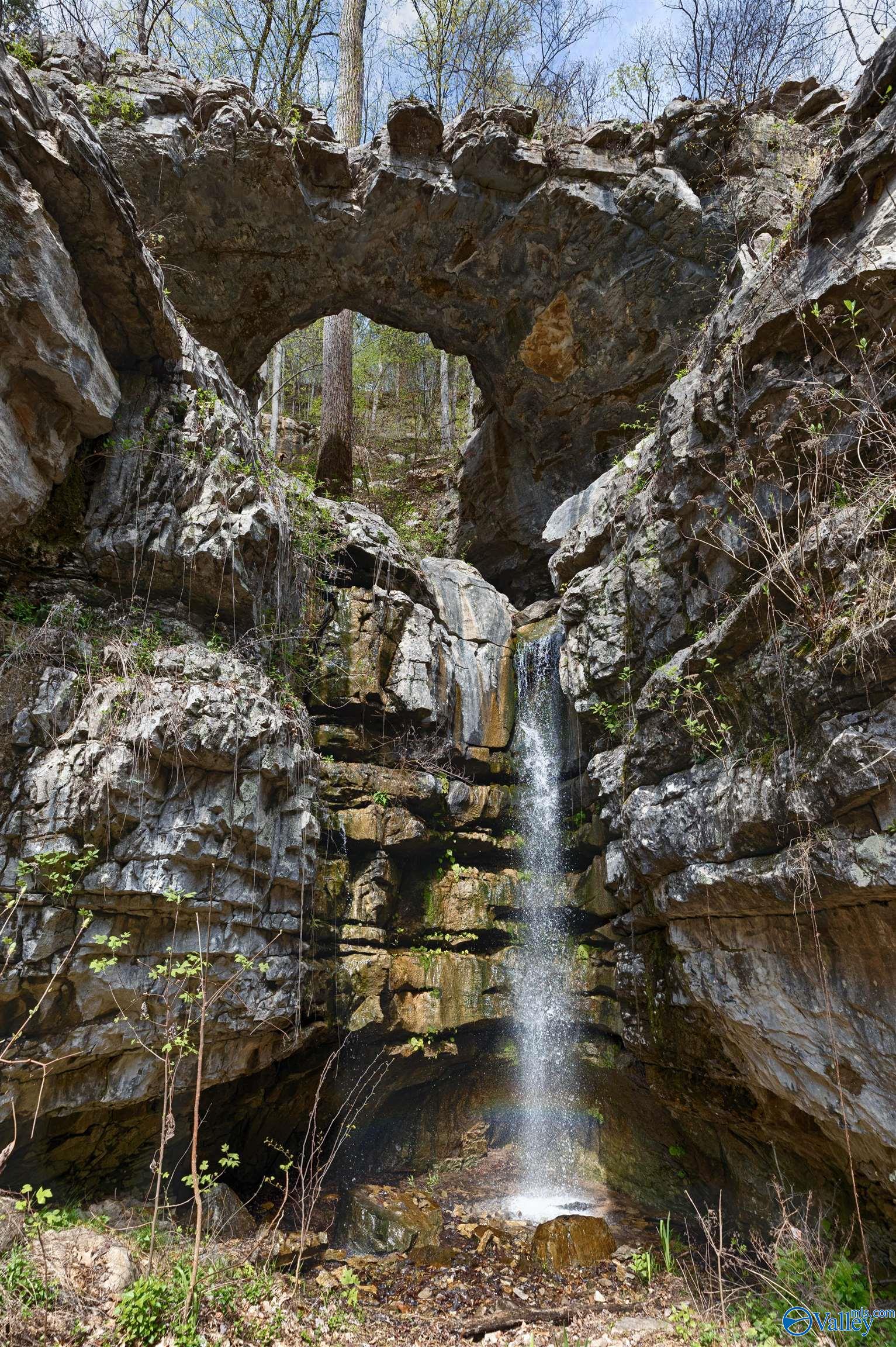 100 Natural Bridge Lane, Grant, Alabama image 36