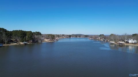 Vacant Land For Sale - LOT 6 County Road 449<br/> Cherokee County, Centre, AL 35960