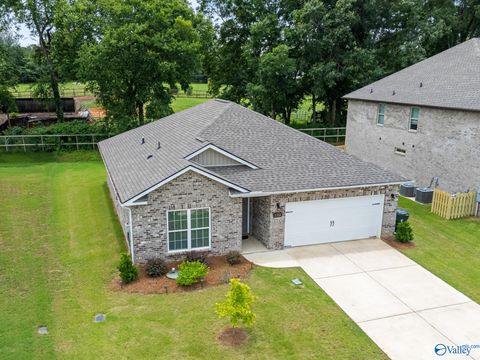 Homes For Sale - 122 Cedar Lake Road<br/> Toney, AL 35773