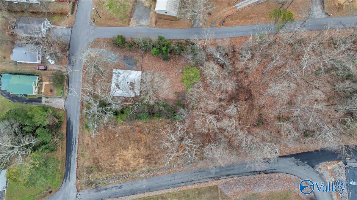 Lot 18 And 19 Obrig Avenue, Guntersville, Alabama image 6