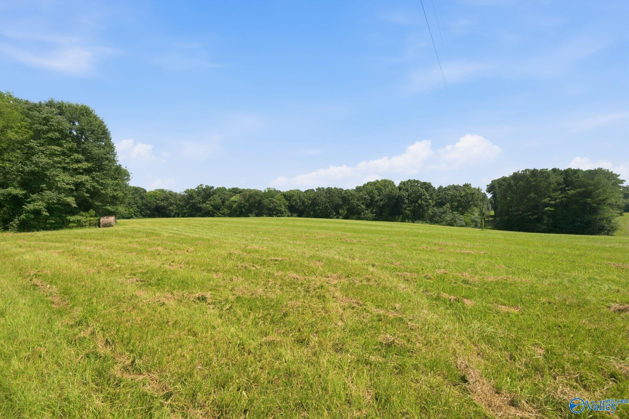 42 acres Kenny Clay Road