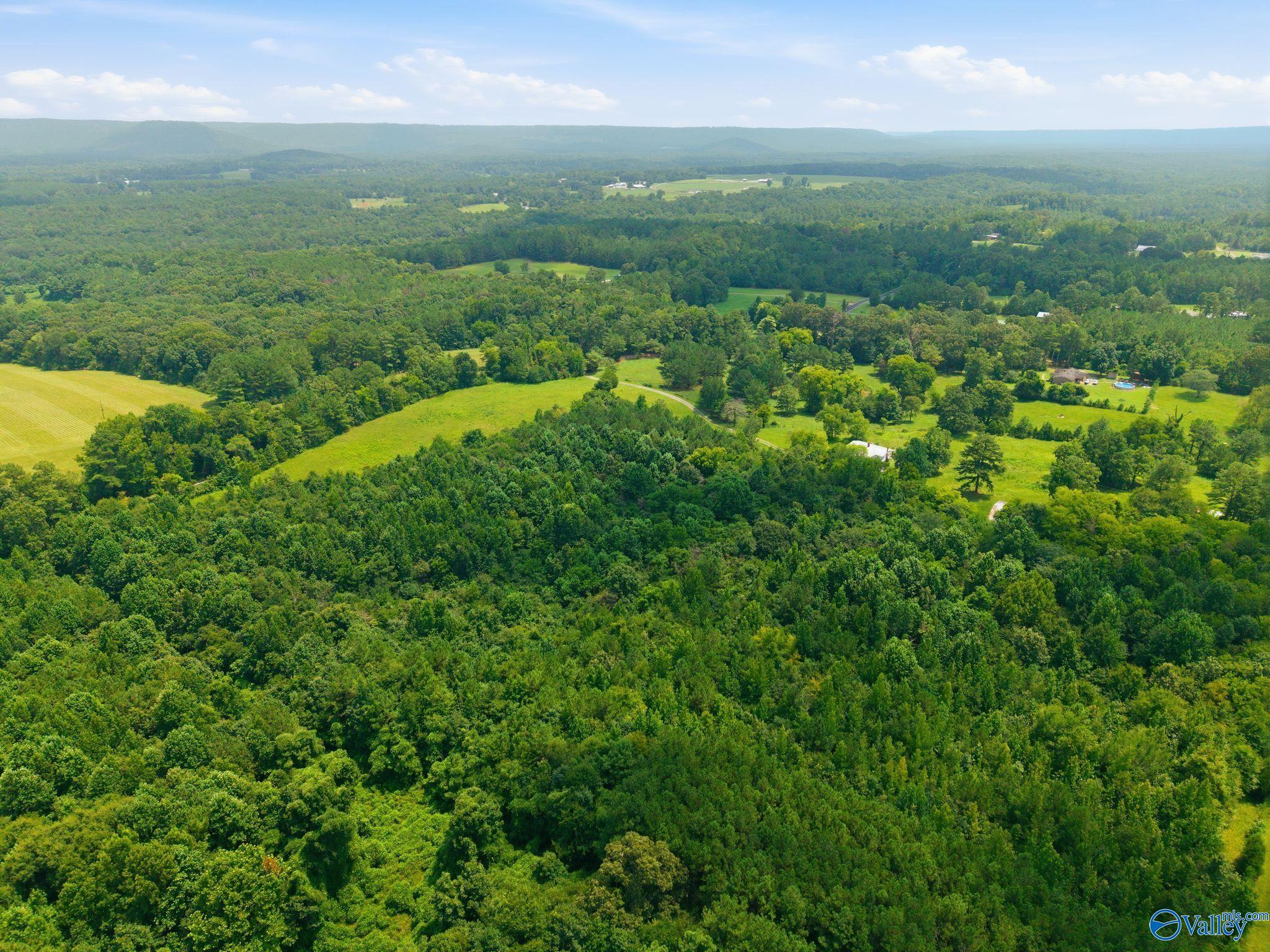 42 acres Kenny Clay Road