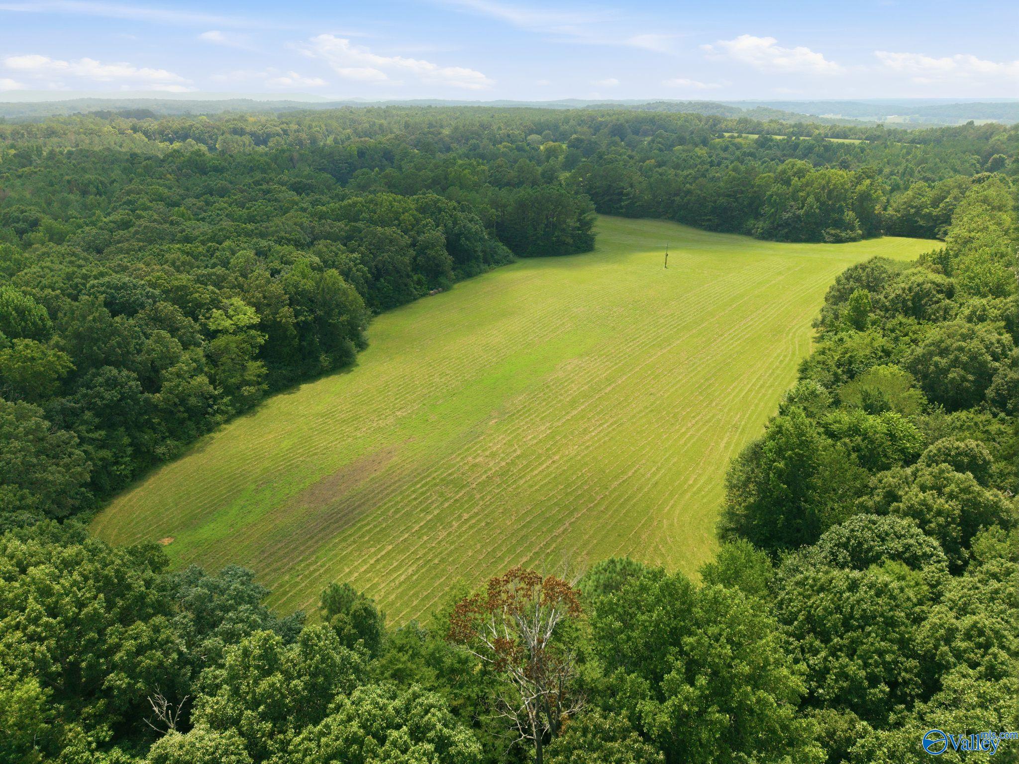 42 acres Kenny Clay Road