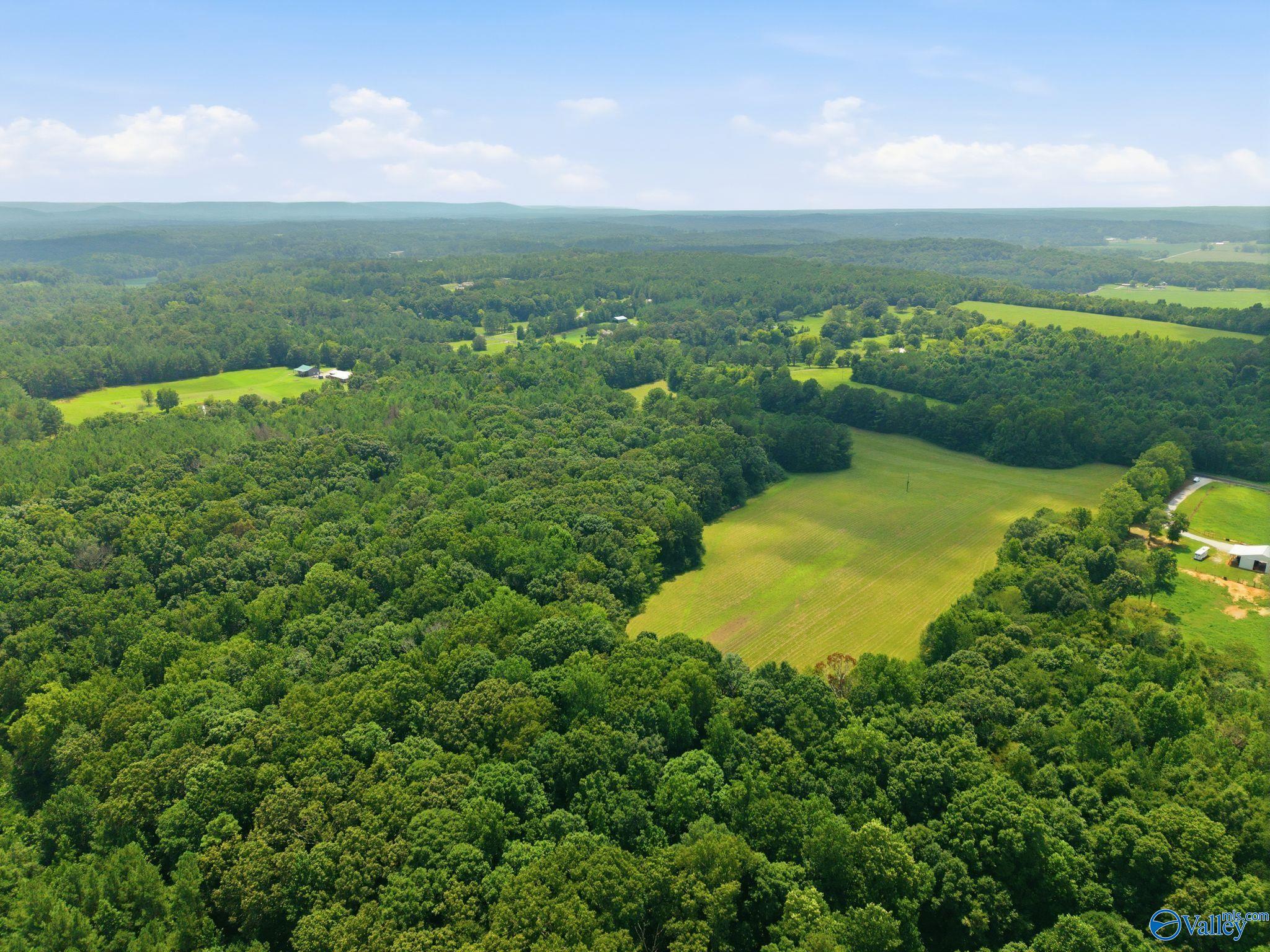 42 acres Kenny Clay Road