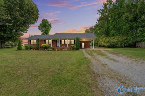 Photo of 523 Bluff Road, Section, AL 35771 (MLS # 21917203)